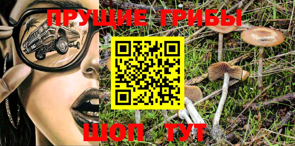 Камышин  Псилоцибиновые грибы MAGIC MUSHROOMS  Вход с VPN 